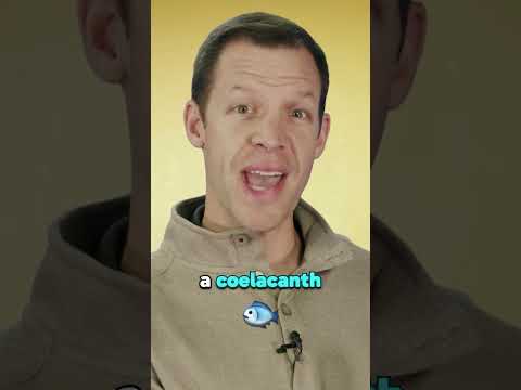 Hqdefault
